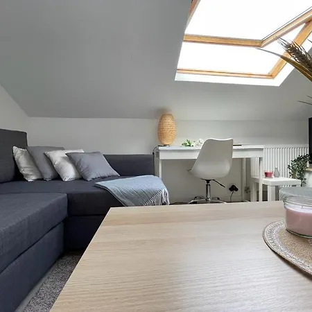 Entier Sur - 4 Voyageurs *