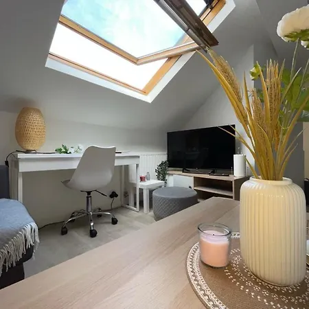 Entier Sur - 4 Voyageurs Reims