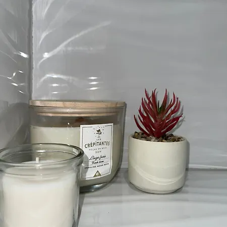 Entier Sur - 4 Voyageurs *