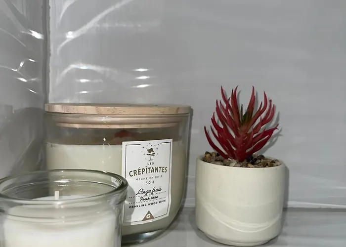 Entier Sur - 4 Voyageurs *